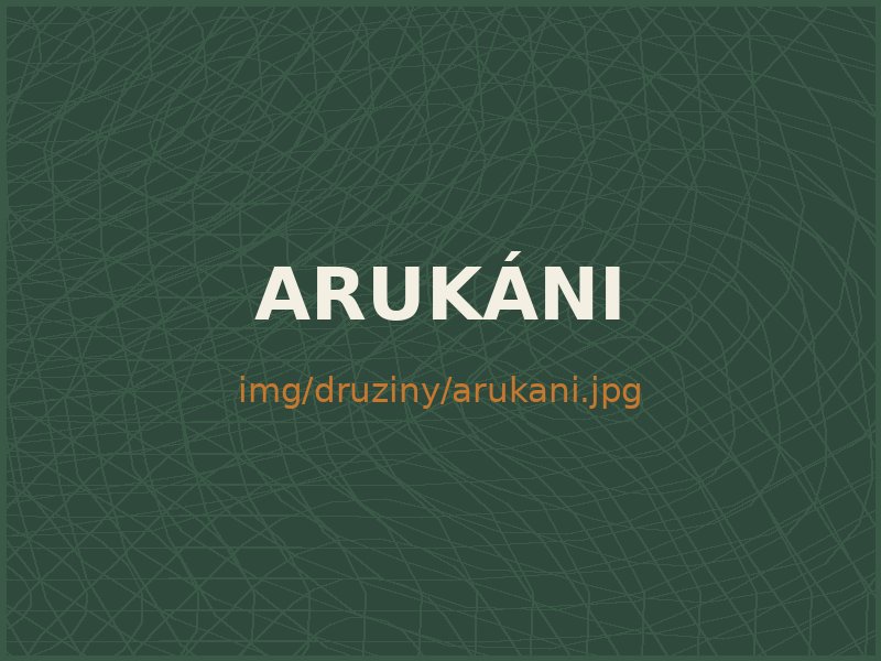 Družina Arukáni