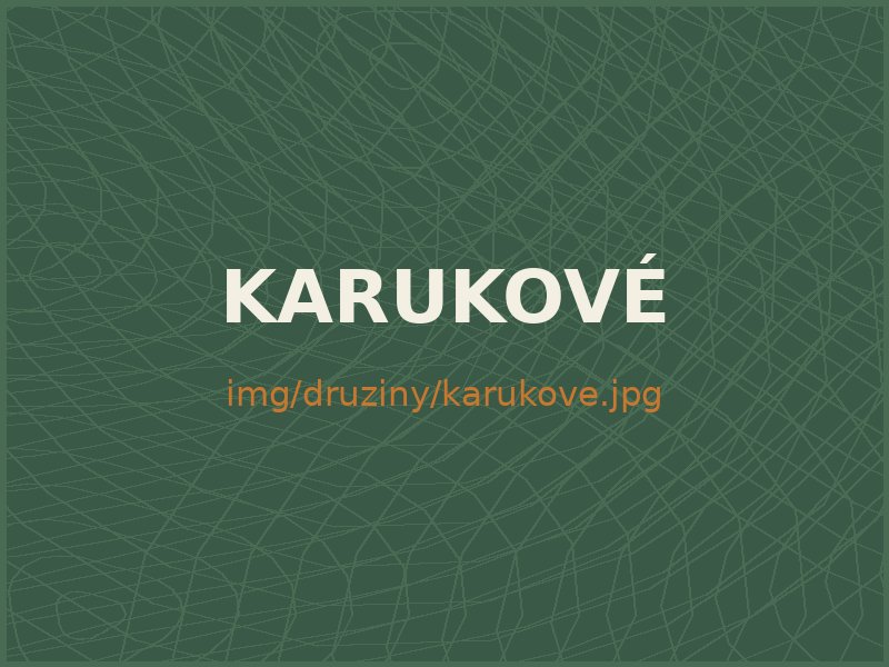Družina Karukové