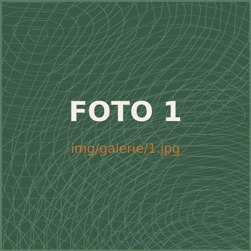 Fotka z oddílu 1
