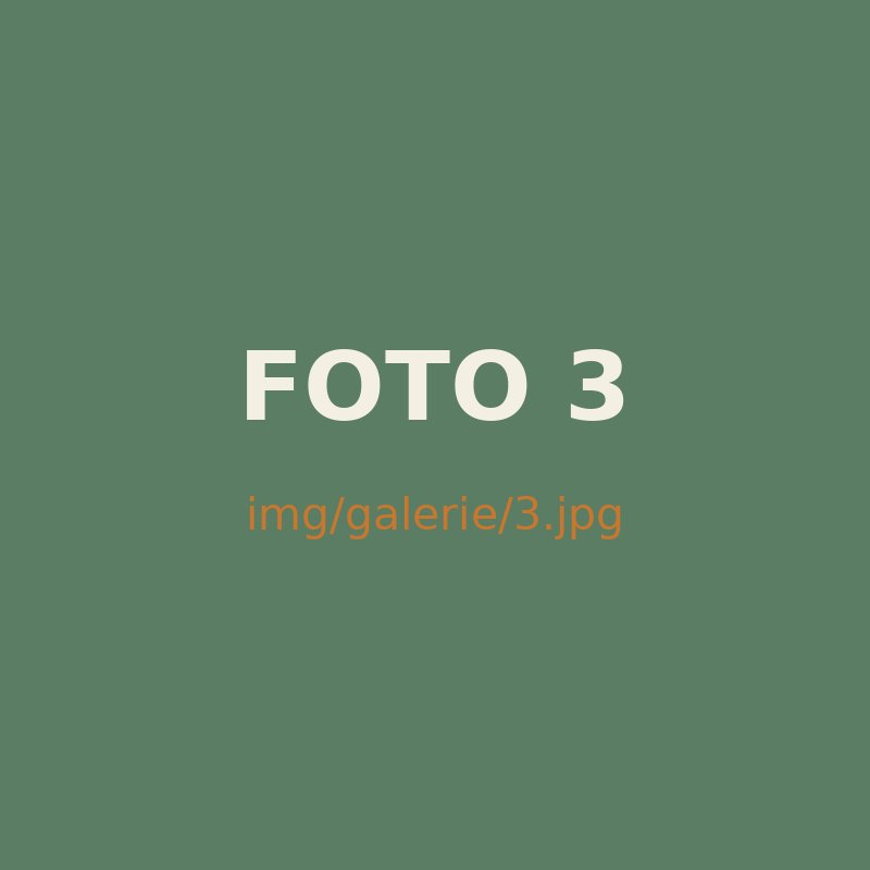 Fotka z oddílu 3