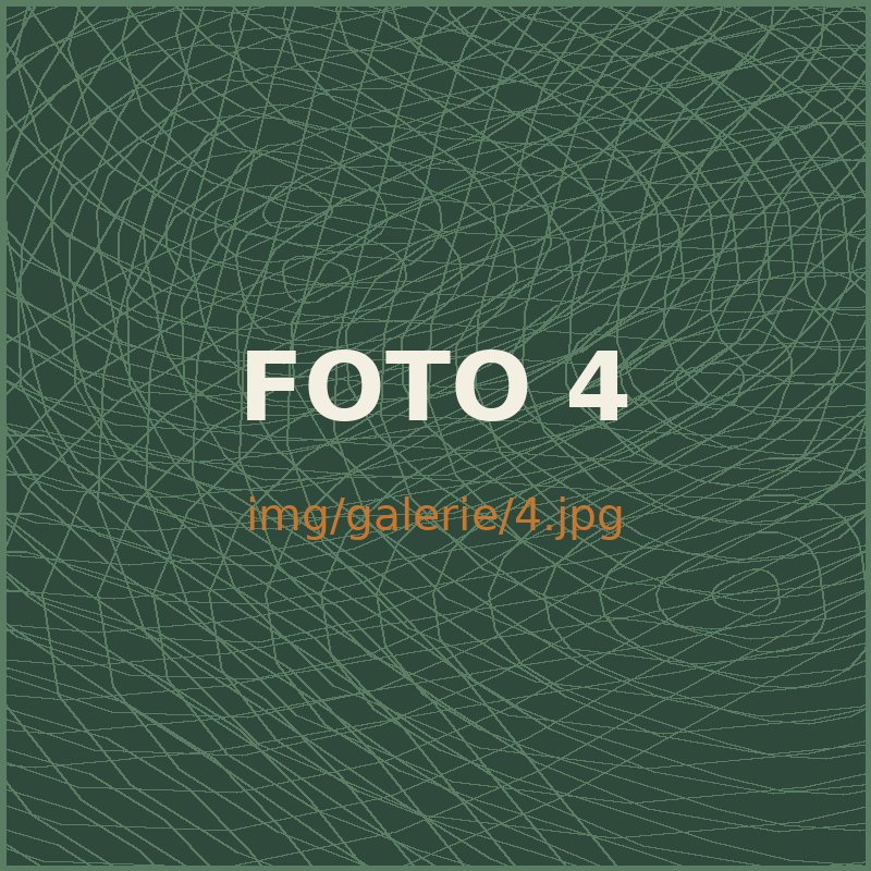 Fotka z oddílu 4