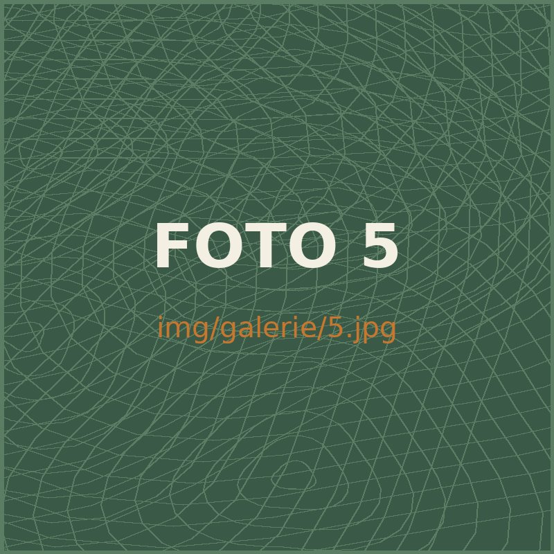 Fotka z oddílu 5