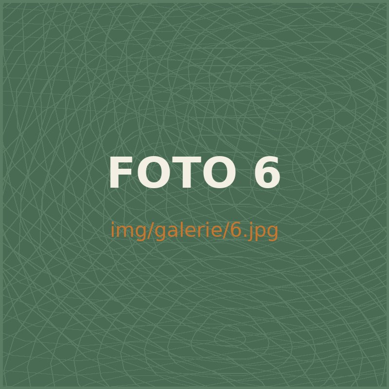 Fotka z oddílu 6