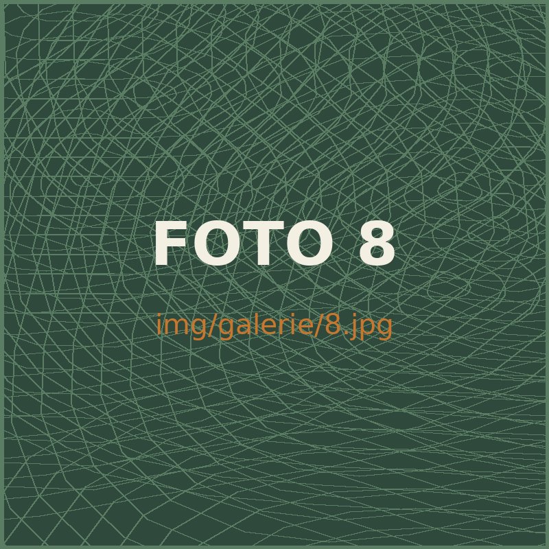 Fotka z oddílu 8